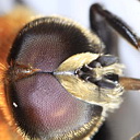 ** PLEASE DESCRIBE THIS IMAGE **