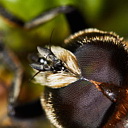 ** PLEASE DESCRIBE THIS IMAGE **