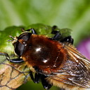 ** PLEASE DESCRIBE THIS IMAGE **