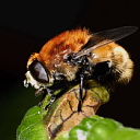 ** PLEASE DESCRIBE THIS IMAGE **