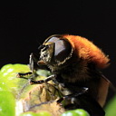 ** PLEASE DESCRIBE THIS IMAGE **