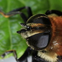 ** PLEASE DESCRIBE THIS IMAGE **