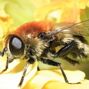 ** PLEASE DESCRIBE THIS IMAGE **