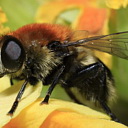 ** PLEASE DESCRIBE THIS IMAGE **