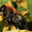 ** PLEASE DESCRIBE THIS IMAGE **