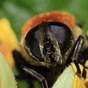 ** PLEASE DESCRIBE THIS IMAGE **