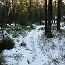 ** PLEASE DESCRIBE THIS IMAGE **