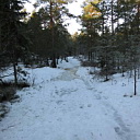 ** PLEASE DESCRIBE THIS IMAGE **