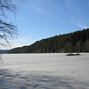 ** PLEASE DESCRIBE THIS IMAGE **