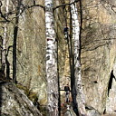 ** PLEASE DESCRIBE THIS IMAGE **