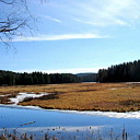 ** PLEASE DESCRIBE THIS IMAGE **