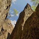 ** PLEASE DESCRIBE THIS IMAGE **