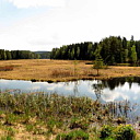 ** PLEASE DESCRIBE THIS IMAGE **