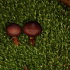 ** PLEASE DESCRIBE THIS IMAGE **