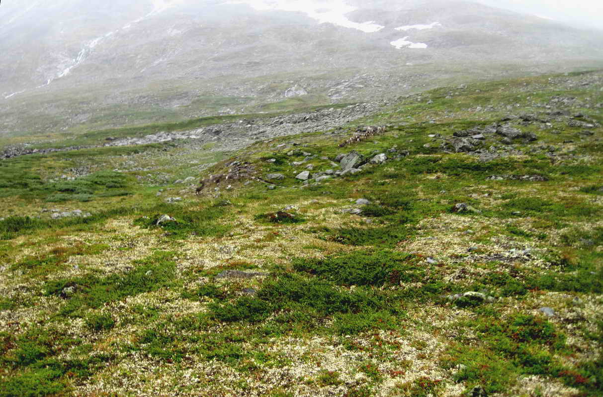 Fra_spiterstulen_44