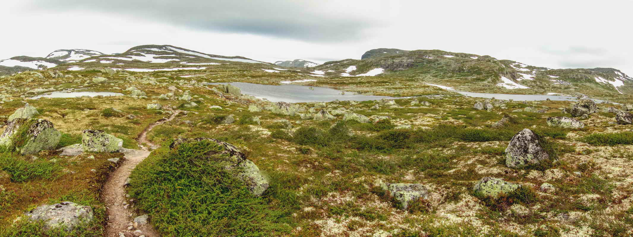 Hardangervidda_2015