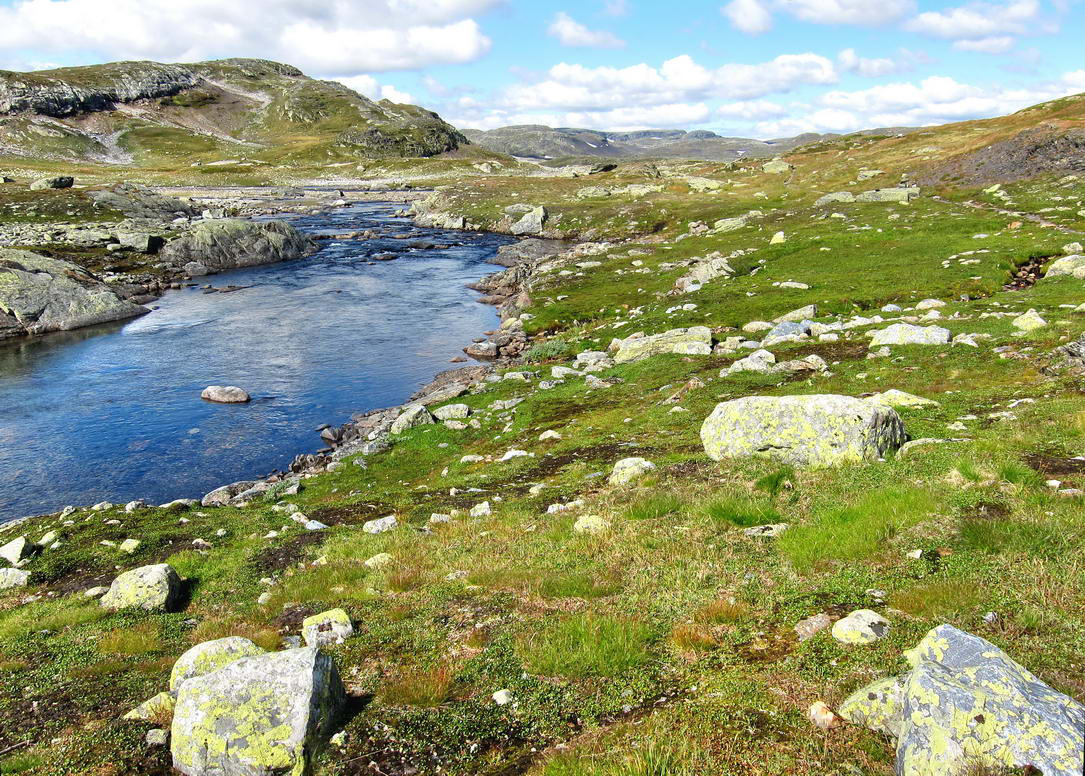 Hardangervidda_9