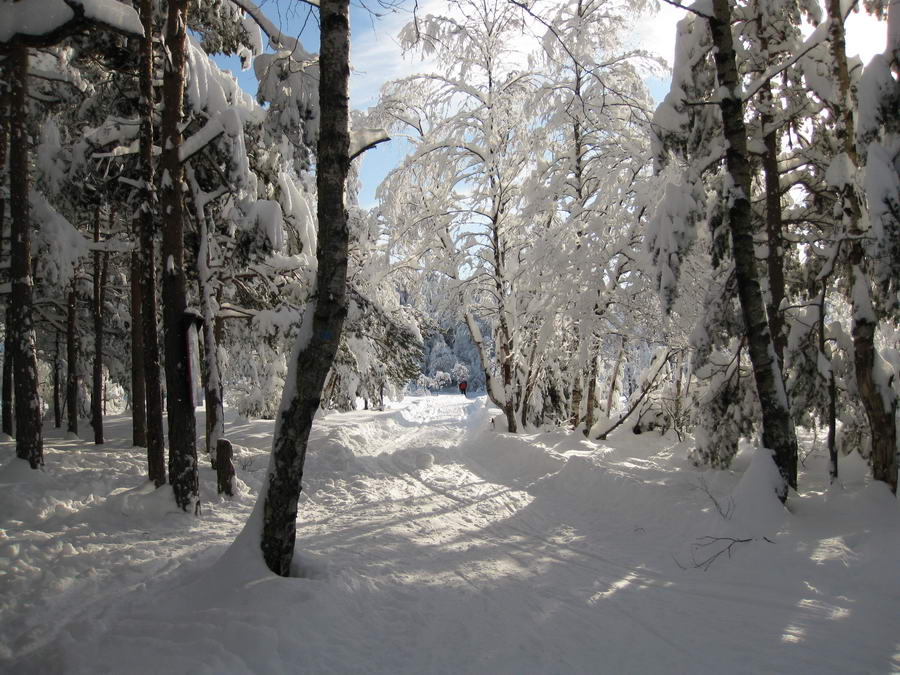 Vinter