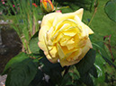 IMG_0656_resize_JPG