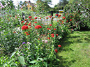 IMG_0621_resize_JPG