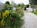 IMG_0650_resize_JPG