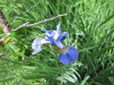 IMG_3858_resize_JPG