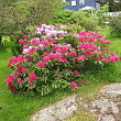 ** PLEASE DESCRIBE THIS IMAGE **