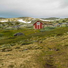 ** PLEASE DESCRIBE THIS IMAGE **