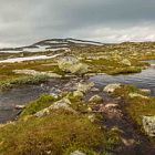 ** PLEASE DESCRIBE THIS IMAGE **