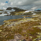 ** PLEASE DESCRIBE THIS IMAGE **