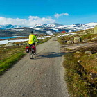 ** PLEASE DESCRIBE THIS IMAGE **