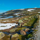 ** PLEASE DESCRIBE THIS IMAGE **