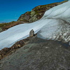 ** PLEASE DESCRIBE THIS IMAGE **