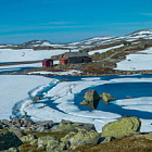 ** PLEASE DESCRIBE THIS IMAGE **