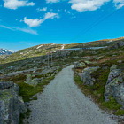 ** PLEASE DESCRIBE THIS IMAGE **