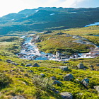 ** PLEASE DESCRIBE THIS IMAGE **