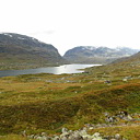 ** PLEASE DESCRIBE THIS IMAGE **