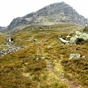 ** PLEASE DESCRIBE THIS IMAGE **