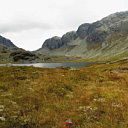 ** PLEASE DESCRIBE THIS IMAGE **