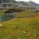 ** PLEASE DESCRIBE THIS IMAGE **