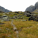 ** PLEASE DESCRIBE THIS IMAGE **