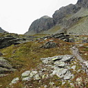 ** PLEASE DESCRIBE THIS IMAGE **