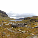 ** PLEASE DESCRIBE THIS IMAGE **