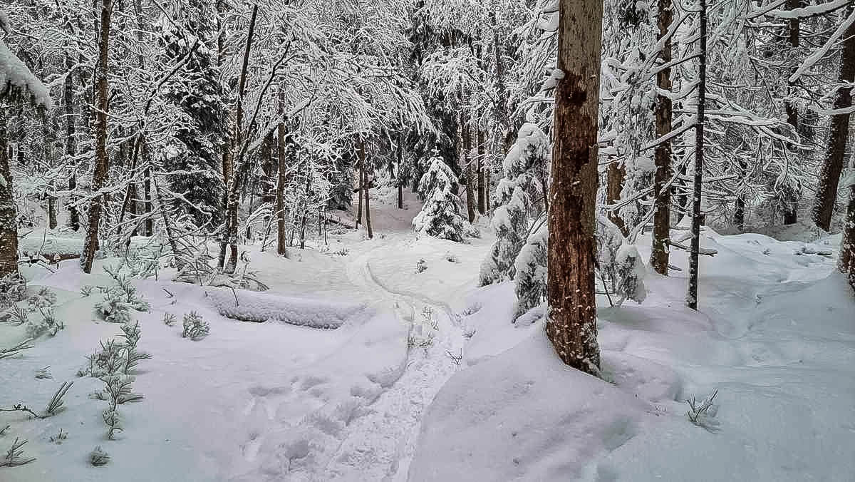 30